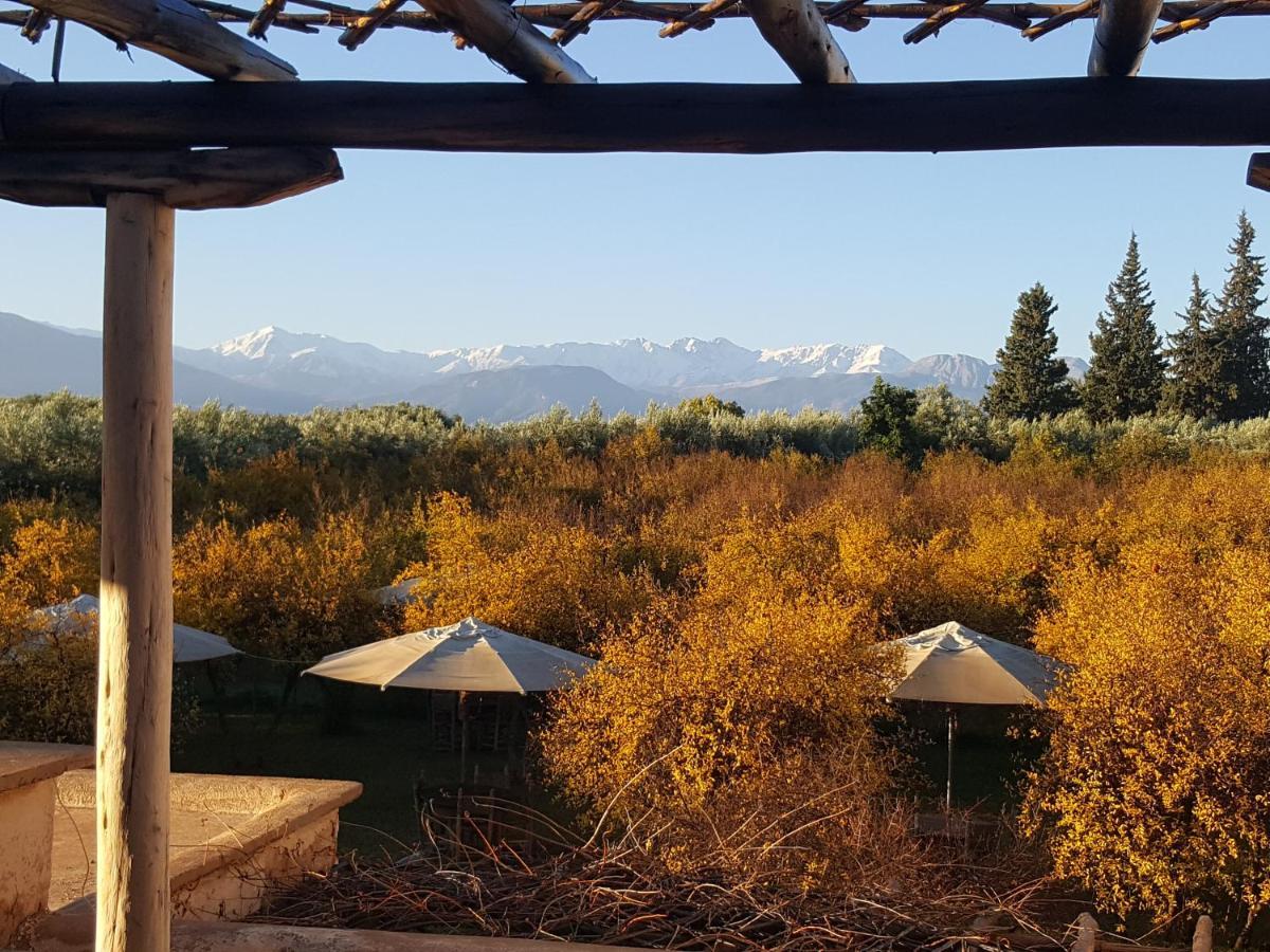 Jnane Tihihit Bed & Breakfast Lalla Takerkoust Exterior photo